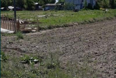 Teren de 3650 mp, în Cosoba