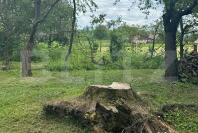 Teren de 5500 mp, în Central