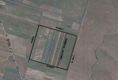 Teren de 35000 mp, în Giroc - 2