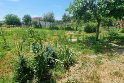 Casă individuală cu curte 867 mp, foișor și anexă - Turnișor, Sibiu - 9