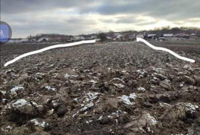 Casă cu 3 camere cu Teren 1300 Mp în Sălacea - 9