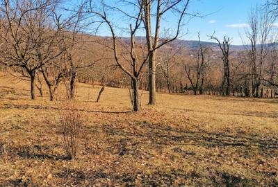 Teren intravilan de 2700 mp, în Secăriei - 2