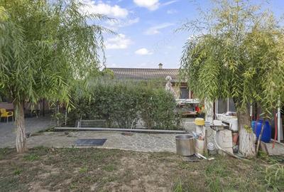 Comision 0% 2 case Vila + Spatiu Comercial + Curte Proprie - 3