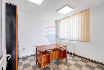Hala de vanzare, 600 mp constructie, 7000 mp teren, Racari Dambovita - 15