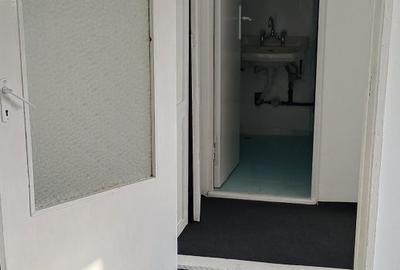 Apartament cu 2 camere decomandat în Sebiș - 7