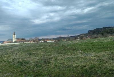 Teren de 2600 mp, în Apoldu de Sus - 1
