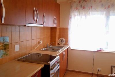 Apartament Snagov ultracentral - 9