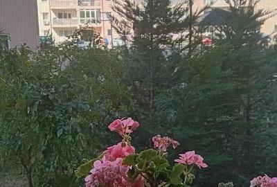 Splaiul Unirii 9, intre Sect.3 si Popesti Leordeni - 18