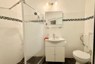 Apartament cu 3 camere decomandat în Parcul Carol - 13