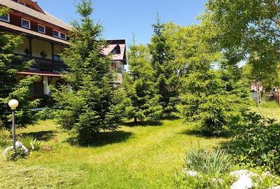 Locatie cu patru anotimpuri intr- o zi, incadrata de 2.350 teren, Bran - Fundata - 3