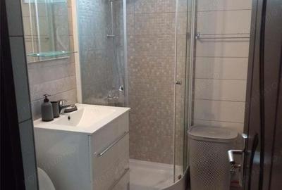 Apartament cu 2 camere decomandat în Ozana - 4