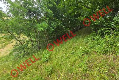 Teren agricol extravilan de 3400 mp, în Sărămaș - 3