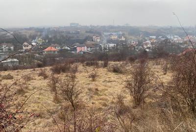 Teren intravilan Str.Oasului/V.Chintaului cu PUZ in lucru 2100 mp - 2