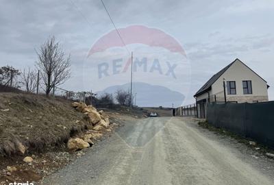 Spațiu comercial, în Sălicea - 7