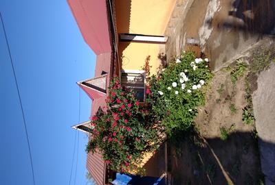 Casă cu 3 camere în Mogoșoaia - 2