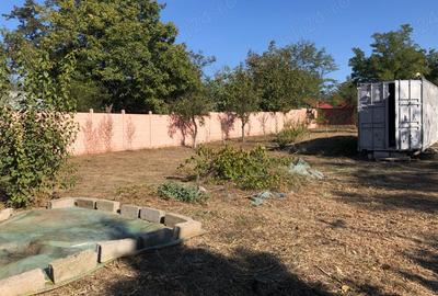 Casă cu 3 camere în Nicolae Bălcescu - 8