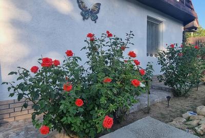 Comuna Sarata! Casa-spectacol! Casa in care vei scrie povesti! - 16