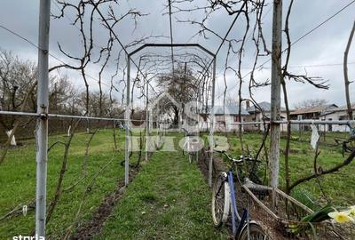 Casă cu 1 camere cu Teren 5000 Mp în Mogoșani - 11