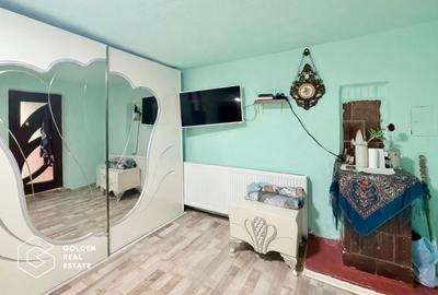 Casă individuală cu 3 camere cu Teren 253 Mp în Vladimirescu - 1