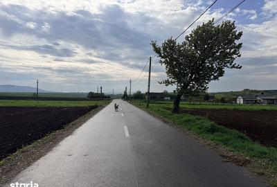 Teren de 17592 mp, în Central - 2