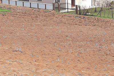 Casa de vanzare din caramida - 1