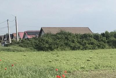 Teren de 5800 mp, în Bucovăț (Remetea Mare)