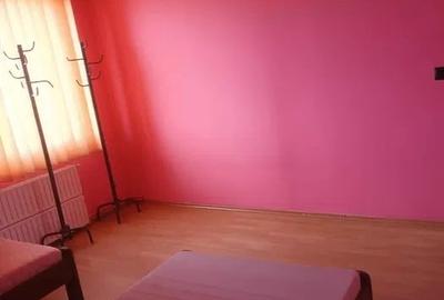 Casa individuală 3 camere in Dezmir - 6