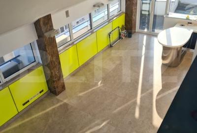 Penthouse cu vedere spectaculoasa la Arcul de Triumf - 7