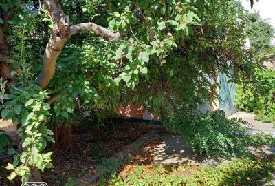 Teren de 740 mp, în Fundeni - 1