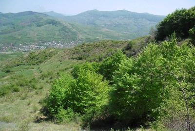 Teren de 5000 mp, în Chiojdu - 3