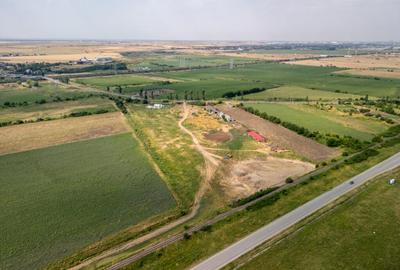 Teren de 30000 mp, în Cernica - 17
