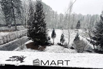 Casă cu 6 camere cu Teren 2000 Mp în Porumbacu de Jos - 13