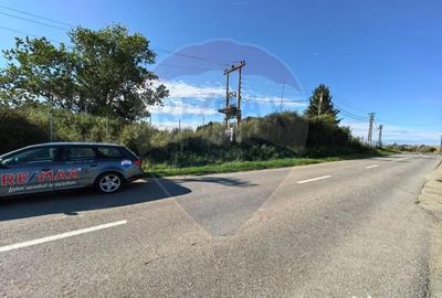 Teren de 8621 mp, în Periferie - 6