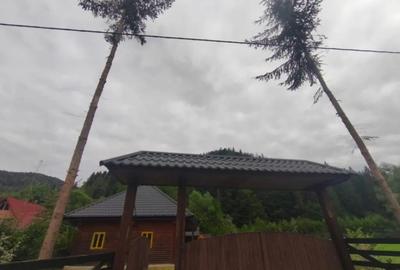 Casă cu 5 camere cu Teren 1250 Mp în Marginea - 13