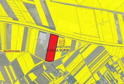 Teren Bolintin Deal - A1 - KM23, Giurgiu - 3