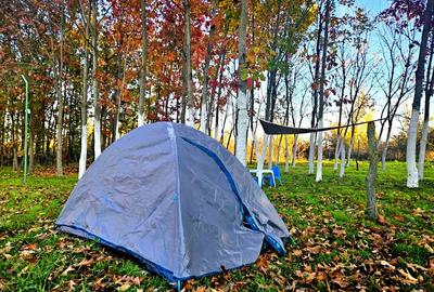Spațiu comercial, în Băneasa - 2
