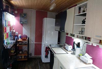 Casă cu 3 camere cu Teren 5400 Mp în Dumbrava - 7
