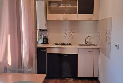 Garsonieră semidecomandată, mobilată în Nicolina - 15