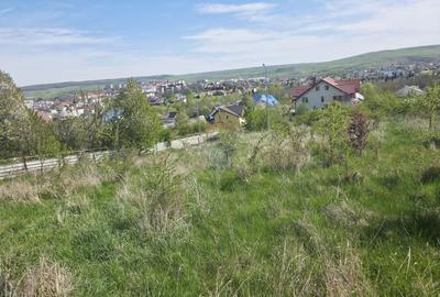 Teren Construcții intravilan de 500 mp, în Calea Romanului - 2