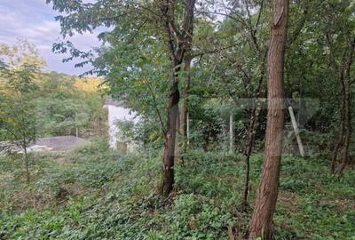 Teren de 79000 mp, în Central - 13