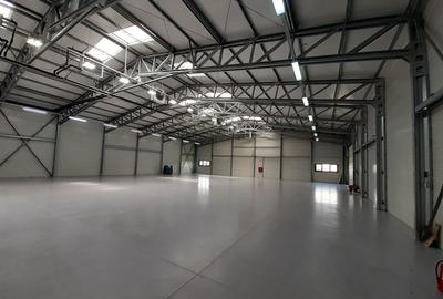 Drumul Intre Tarlale - birouri si depozitare - temperatura controlata - 2