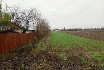 Teren de 3000 mp, în Dărăști-Vlașca