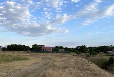 Tamasi, langa padure, 12.824 mp, deschidere 45 ml, teren cu potential! - 7