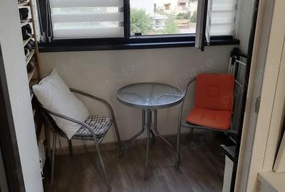 Studio zona Theodor Pallady - 6