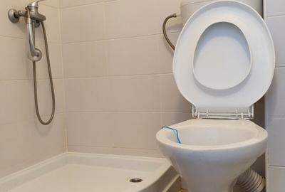 Piata Trapezului/metrou 1 Decembrie 1918 - 5