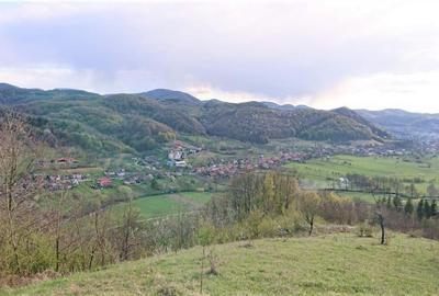 Teren Construcții intravilan de 69237 mp, în Crișcior - 5