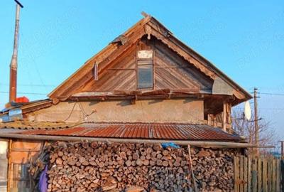 Casă cu 4 camere cu Teren 1200 Mp în Dunavățu de Sus - 3