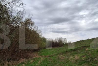 Oportunitate!!!! TEREN EXTRAVILAN CU SUPRAFATA DE 12500 MP - 3