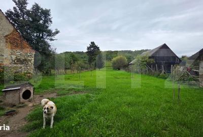 Casă cu 4 camere în Șieu - 3