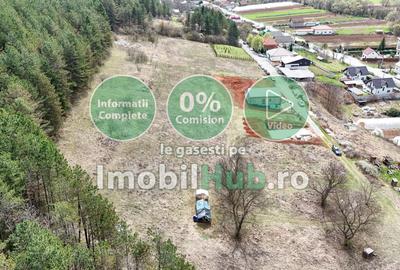 Teren Construcții intravilan de 10130 mp, în Vlaha - 6